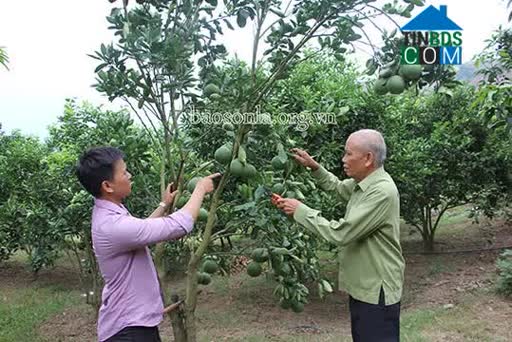 Hình ảnh Chiềng Cang, Sông Mã, Sơn La