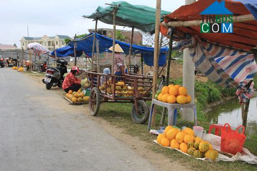 Hình ảnh Thịnh Lộc, Hậu Lộc, Thanh Hóa