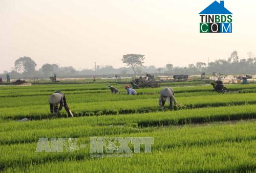 Hình ảnh Văn Lang, Hưng Hà, Thái Bình