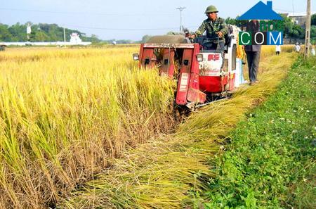 Hình ảnh Lương Phú, Phú Bình, Thái Nguyên