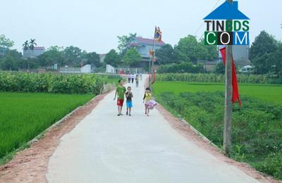 Hình ảnh Thanh Ninh, Phú Bình, Thái Nguyên
