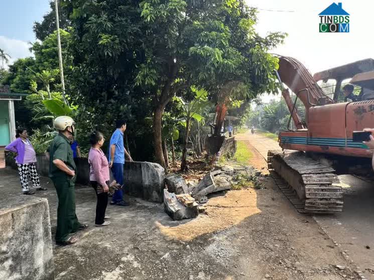 Hình ảnh Thọ Tân, Triệu Sơn, Thanh Hóa