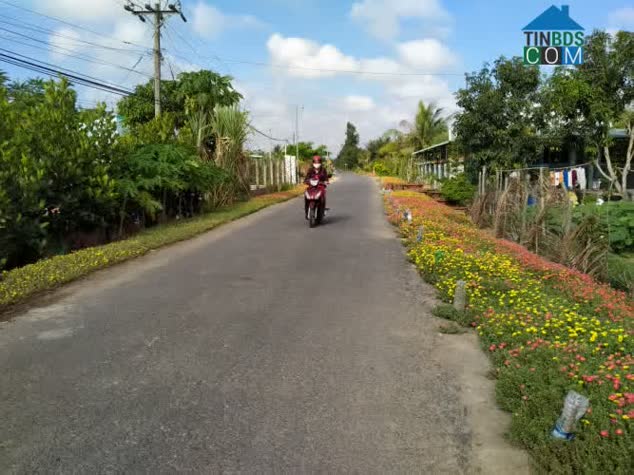 Hình ảnh Chánh An, Mang Thít, Vĩnh Long