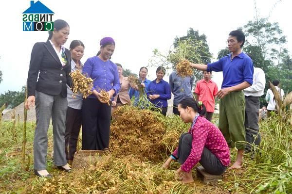 Hình ảnh Minh Quang, Chiêm Hóa, Tuyên Quang