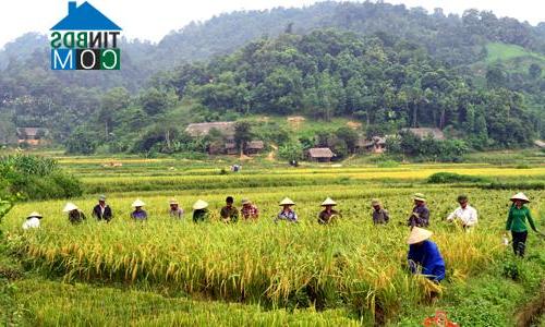 Hình ảnh Hòa An, Chiêm Hóa, Tuyên Quang