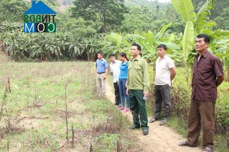 Hình ảnh Tri Phú, Chiêm Hóa, Tuyên Quang