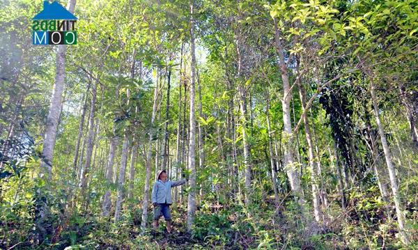 Hình ảnh Thượng Giáp, Na Hang, Tuyên Quang