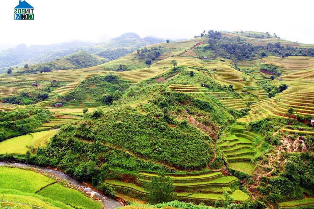 Hình ảnh La Pán Tẩn, Mù Cang Chải, Yên Bái