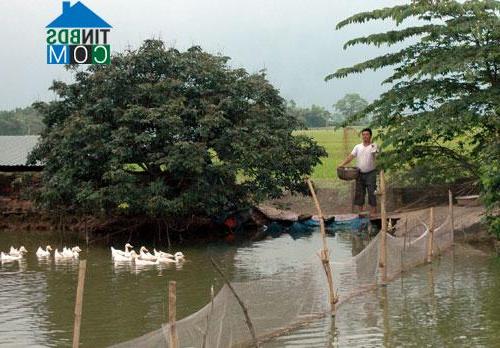 Hình ảnh Mộ Đạo, Quế Võ, Bắc Ninh