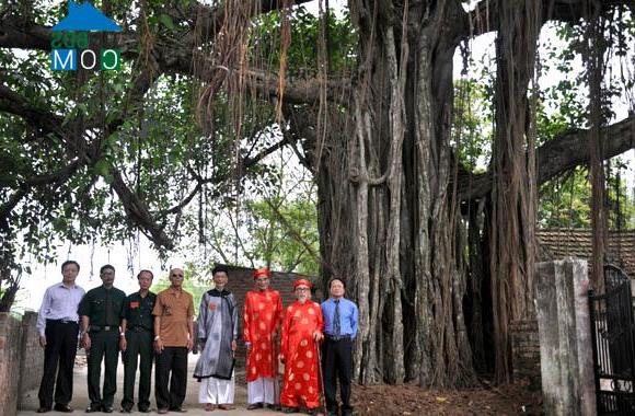 Hình ảnh Ninh Xá, Thuận Thành, Bắc Ninh