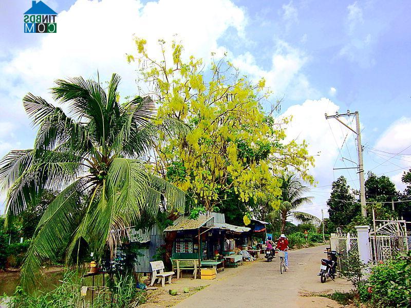 Hình ảnh Vĩnh Chánh, Thoại Sơn, An Giang