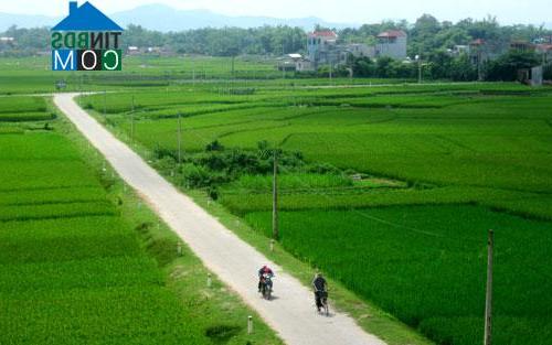 Hình ảnh Quang Thịnh, Lạng Giang, Bắc Giang