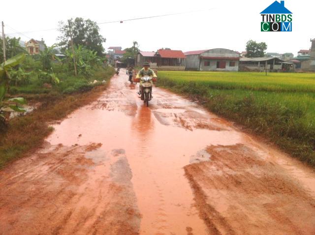 Hình ảnh Phú Nhuận, Lục Ngạn, Bắc Giang