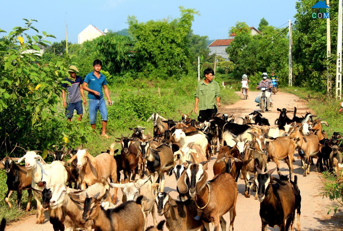 Hình ảnh Chiên Sơn, Sơn Động, Bắc Giang