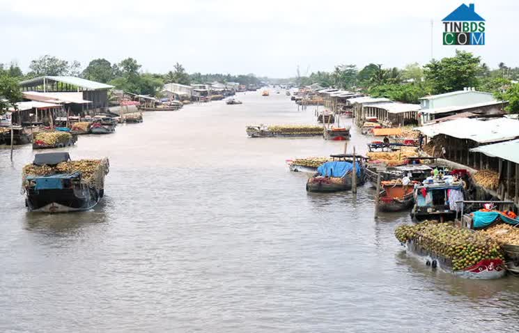 Hình ảnh An Thạnh, Mỏ Cày Nam, Bến Tre