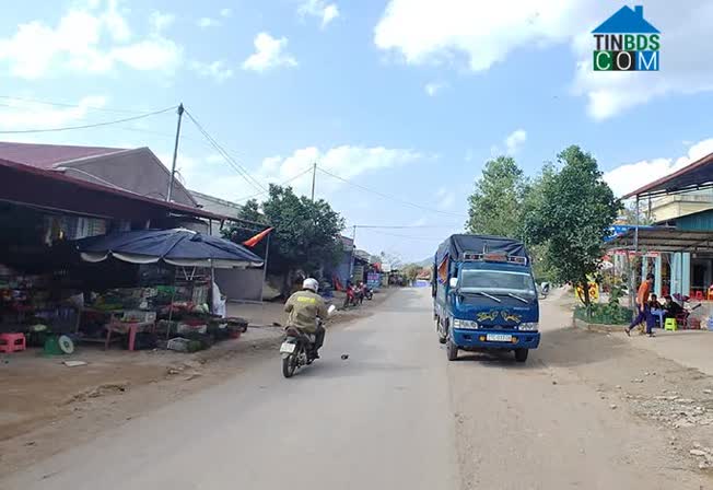 Hình ảnh Phìn Hồ, Nậm Pồ, Điện Biên