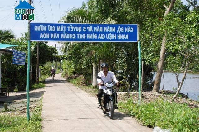 Hình ảnh Nguyễn Phích, U Minh, Cà Mau