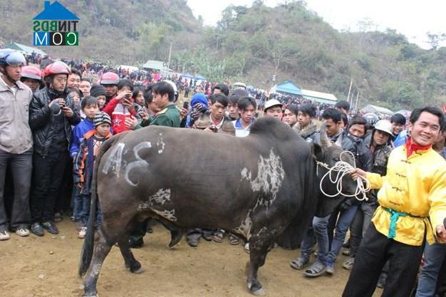 Hình ảnh Quảng Lâm, Bảo Lâm, Cao Bằng