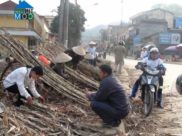 Hình ảnh Thể Dục, Nguyên Bình, Cao Bằng