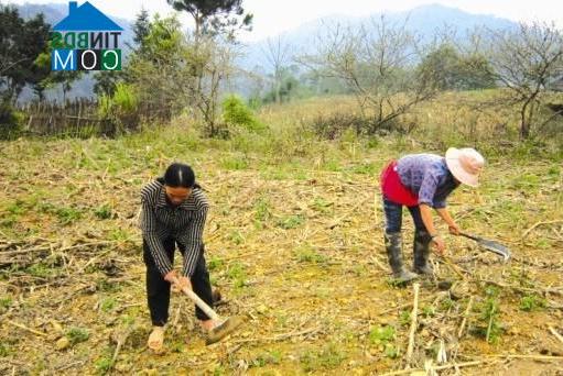 Hình ảnh Thịnh Vượng, Nguyên Bình, Cao Bằng