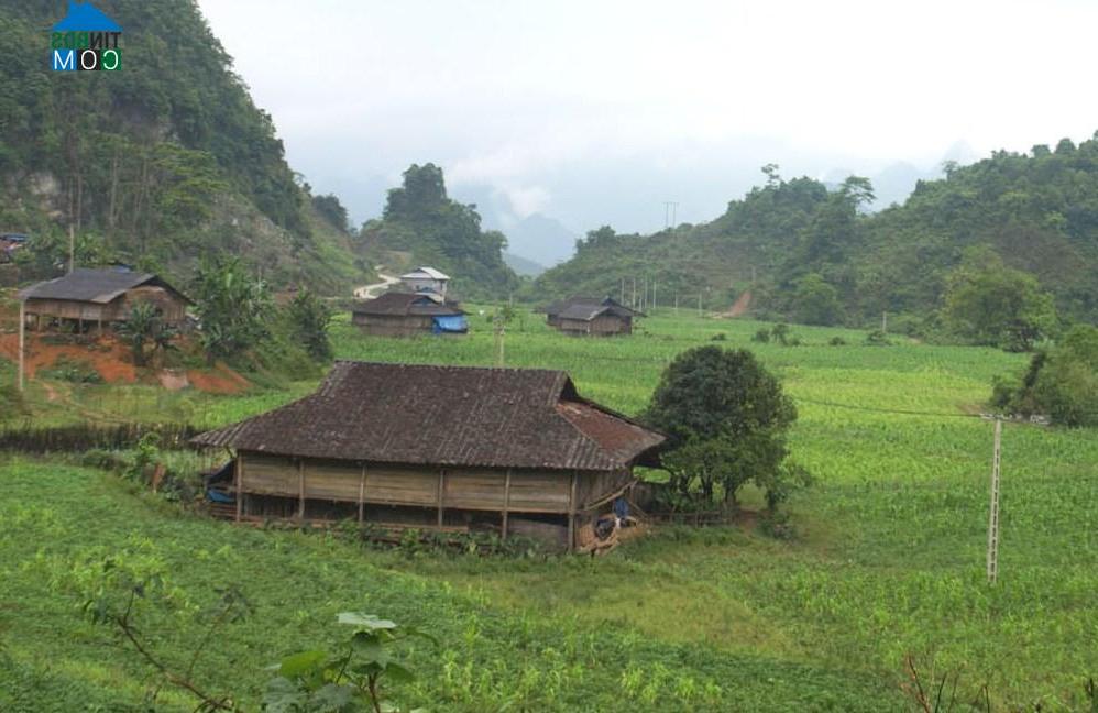 Hình ảnh Cần Nông, Thông Nông, Cao Bằng