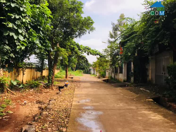 Hình ảnh Nguyễn An Ninh, Buôn Ma Thuột, Đắk Lắk