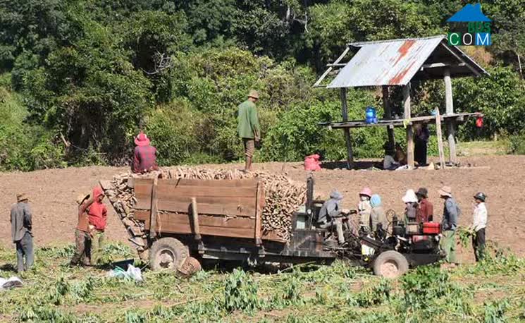 Hình ảnh Ia Kdăm, Ia Pa, Gia Lai