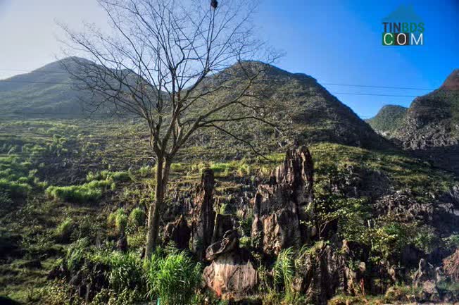 Hình ảnh Thài Phìn Tủng, Đồng Văn, Hà Giang