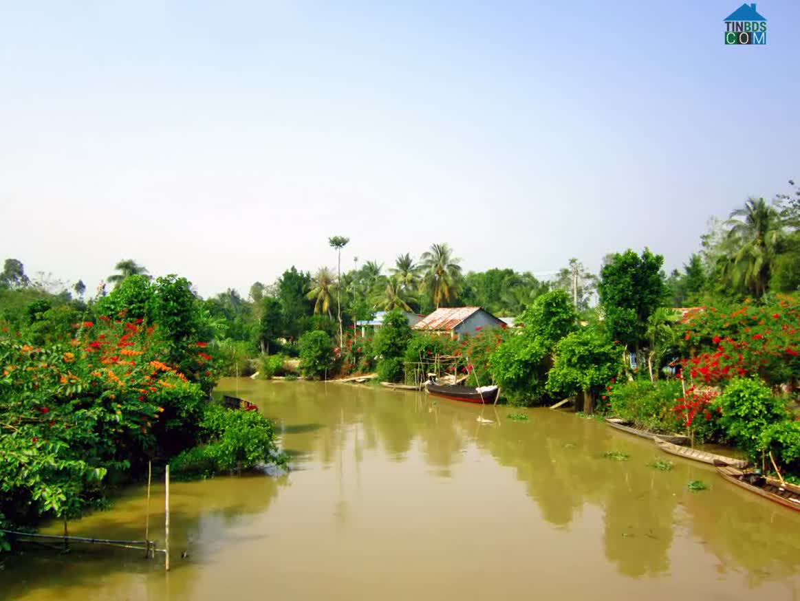 Hình ảnh Tân Dương, Lai Vung, Đồng Tháp