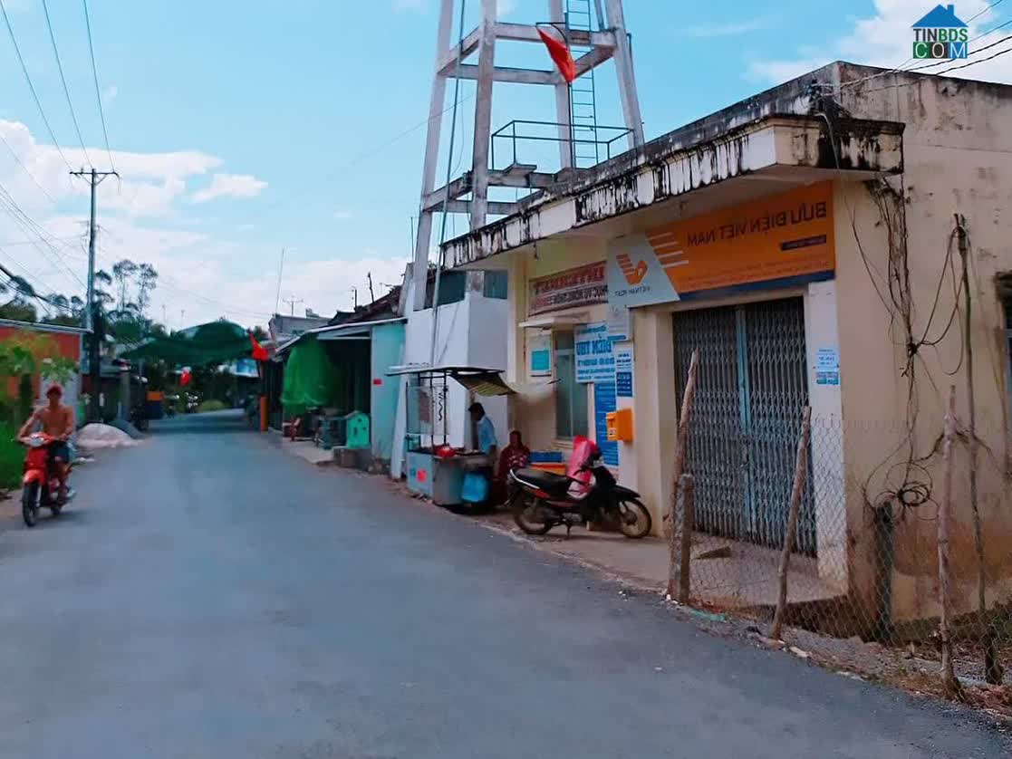 Hình ảnh Tân Phước, Lai Vung, Đồng Tháp