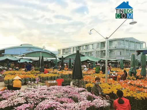 Hình ảnh Tân Thành, Lai Vung, Đồng Tháp