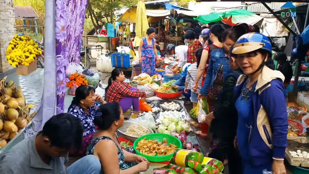 Hình ảnh Tân Huề, Thanh Bình, Đồng Tháp