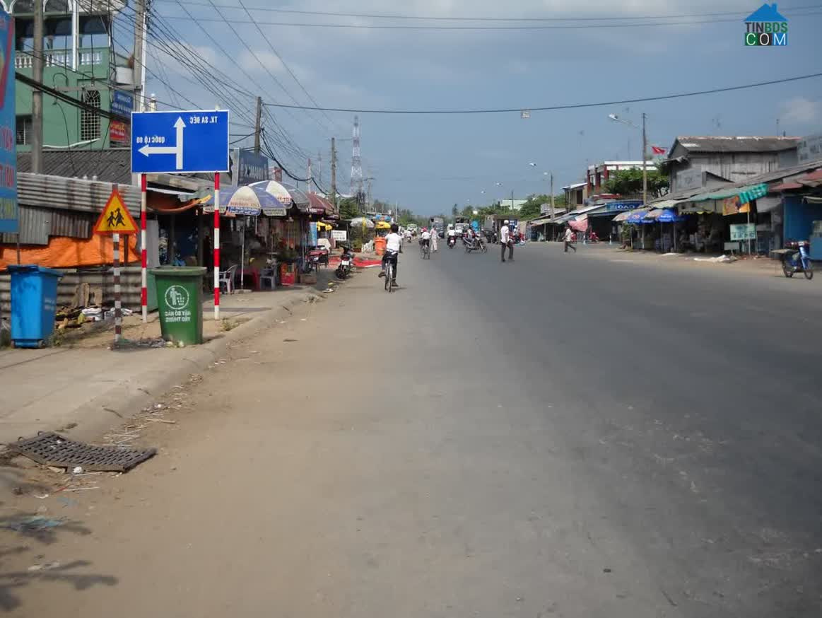 Hình ảnh Tân Mỹ, Thanh Bình, Đồng Tháp