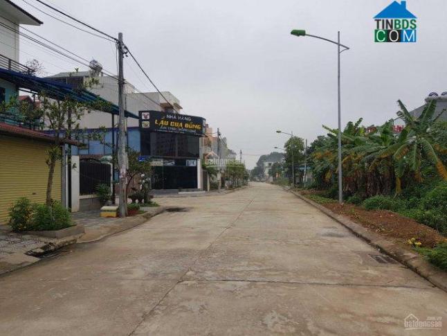 Hình ảnh Nguyễn Tri Phương, Vĩnh Yên, Vĩnh Phúc