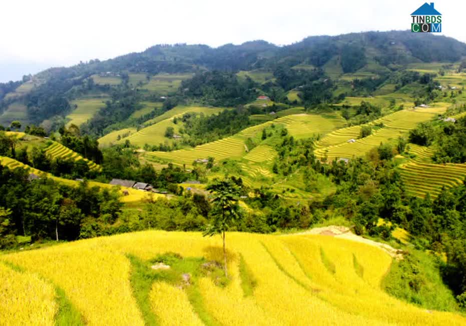 Hình ảnh Tả Sử Choóng, Hoàng Su Phì, Hà Giang
