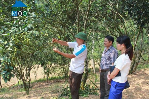 Hình ảnh Yên Hà, Quang Bình, Hà Giang