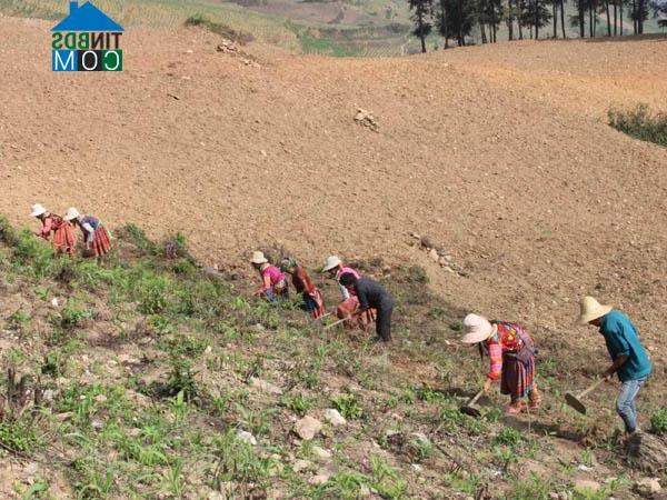 Hình ảnh Thèn Phàng, Xín Mần, Hà Giang