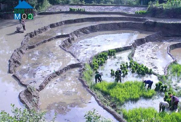 Hình ảnh Na Khê, Yên Minh, Hà Giang