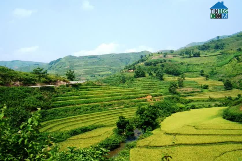 Hình ảnh Yên Minh, Yên Minh, Hà Giang