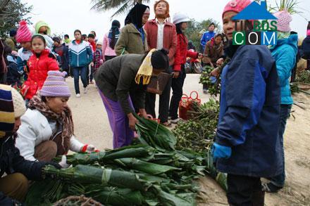 Hình ảnh Thuần Lộc, Hậu Lộc, Thanh Hóa