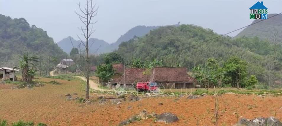 Hình ảnh Yên Sơn, Hà Quảng, Cao Bằng
