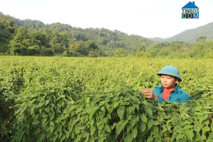 Hình ảnh Văn Lang, Na Rì, Bắc Kạn