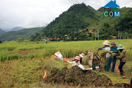 Hình ảnh Nà Tòng, Tuần Giáo, Điện Biên