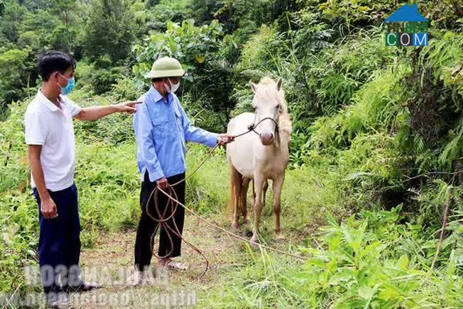 Hình ảnh Minh Hiệp, Lộc Bình, Lạng Sơn