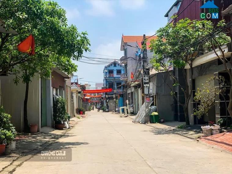 Hình ảnh Nguyễn Xí, Bắc Ninh, Bắc Ninh