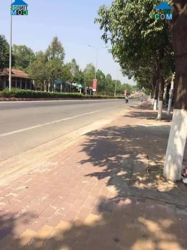 Hình ảnh Đại lộ Nguyễn Chí Thanh, Thuận An, Bình Dương