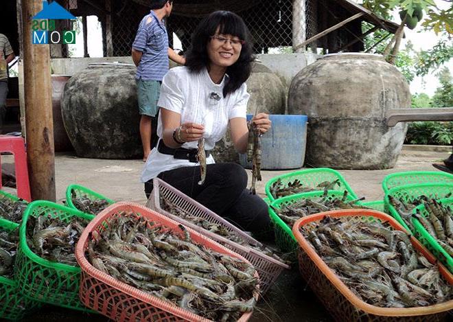 Hình ảnh Nam Yên, An Biên, Kiên Giang