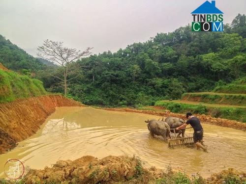 Hình ảnh Song Giáp, Cao Lộc, Lạng Sơn