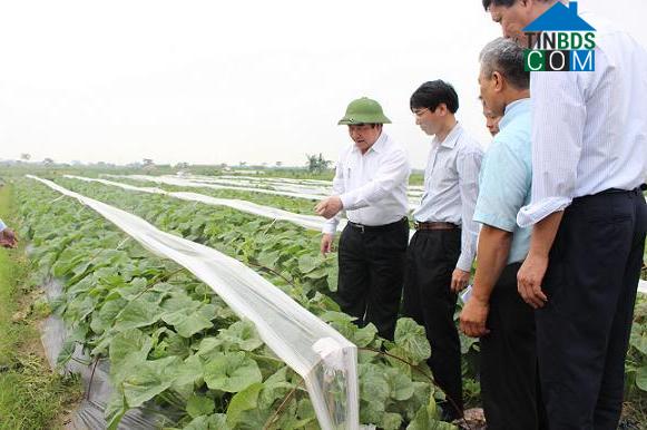 Hình ảnh Hưng Đạo, Bình Gia, Lạng Sơn