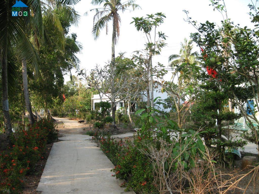 Hình ảnh Vĩnh Bình Nam, Vĩnh Thuận, Kiên Giang